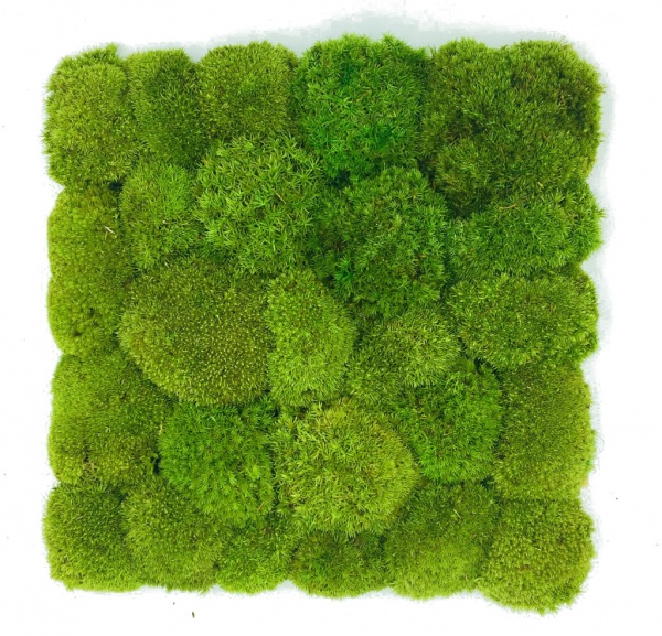 Pillow moss wall panel 30x30 cm Pole Moss Tile | color - light green